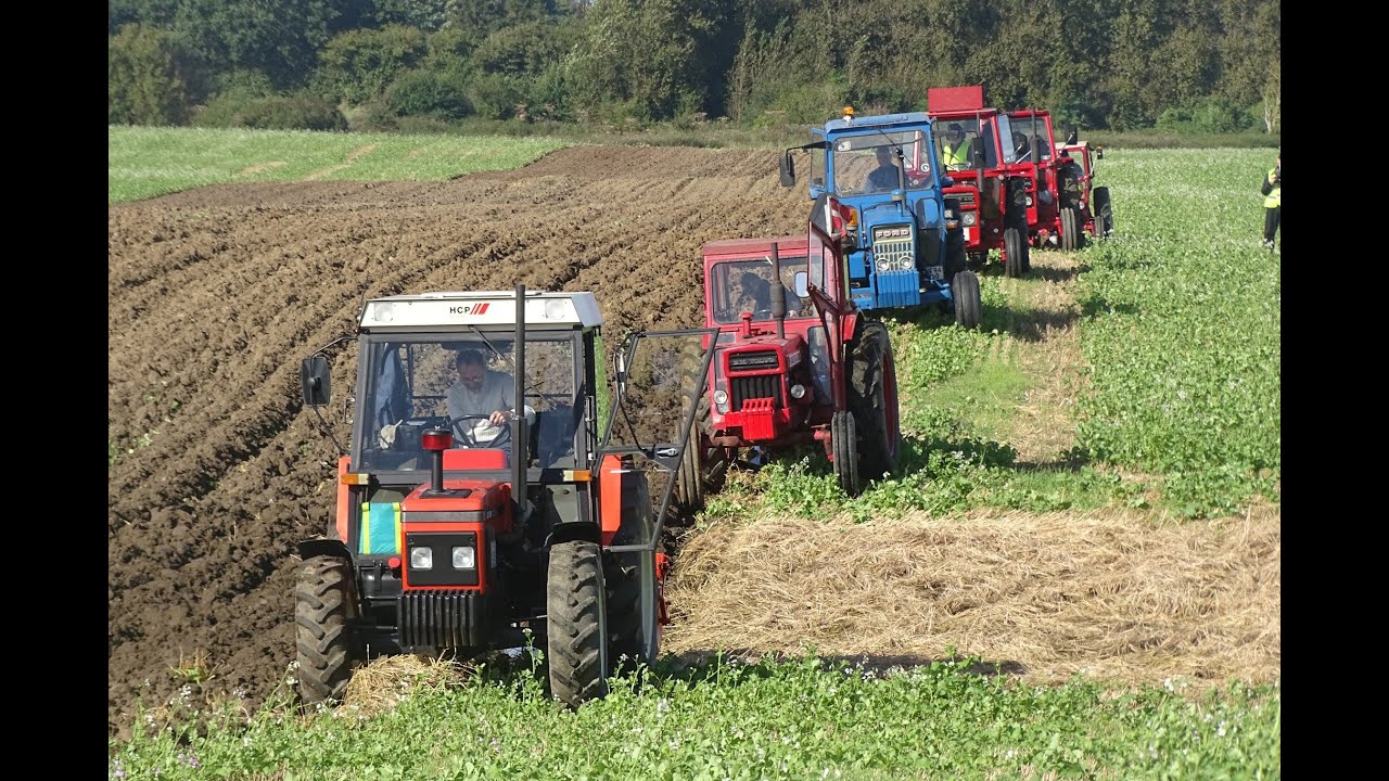 Pløjedag på Sandager Skovgård, MVTKF, lørdag 13 september 2025