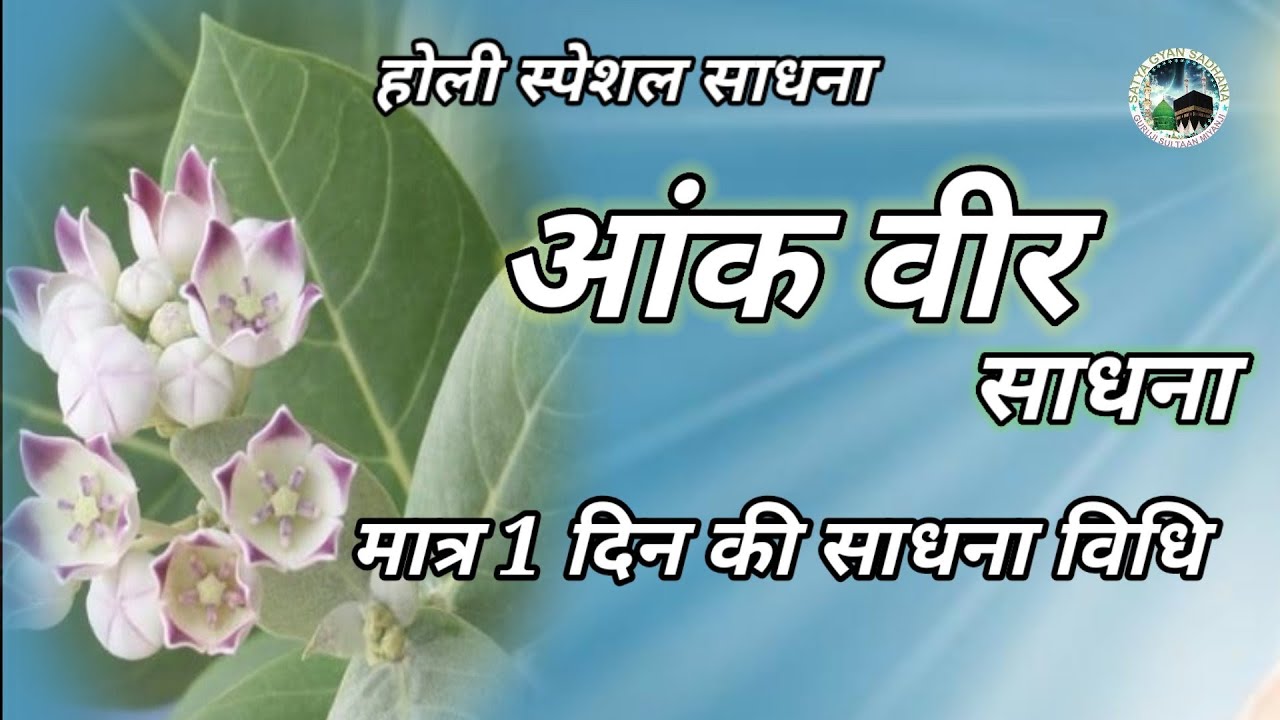 आंक वीर साधना | एक दिन की साधना veer  होली स्पेशल साधना