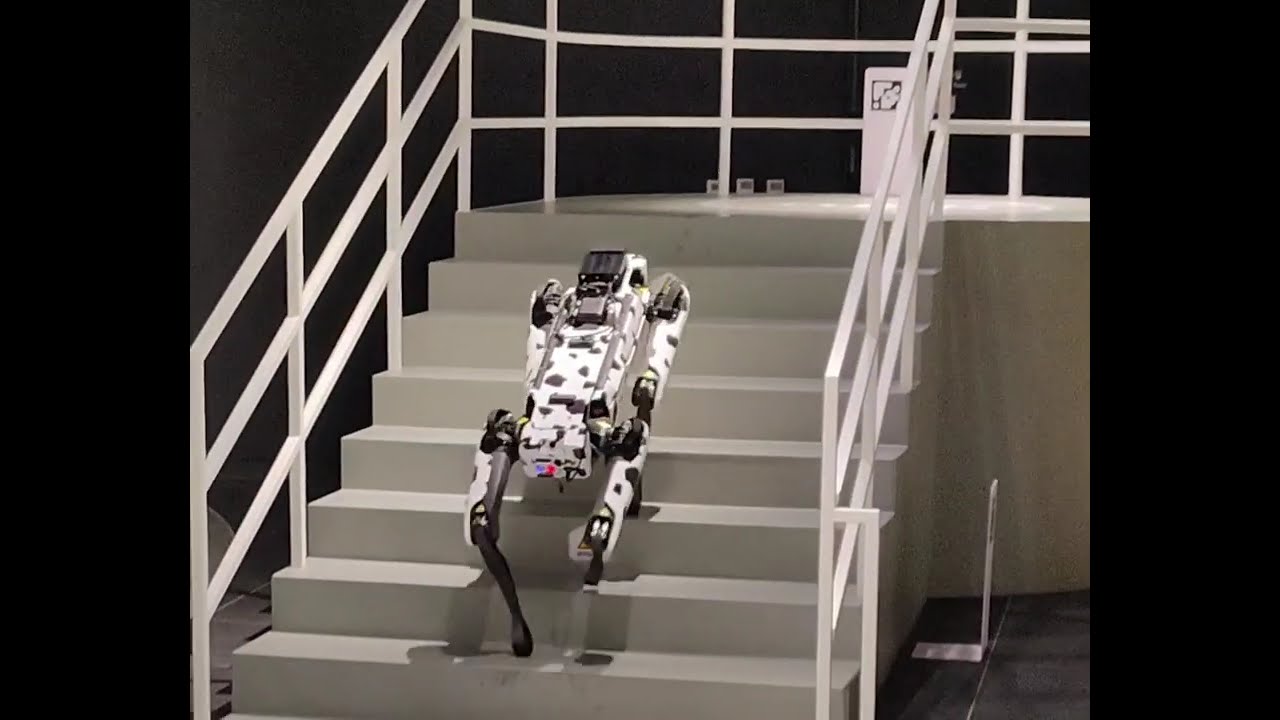 Why Does Boston Dynamics' Spot Walk Backward Down Stairs?