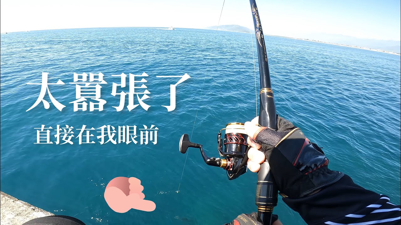 中白毛被牛港一口吞！花蓮東堤驚愕的巨物來襲！