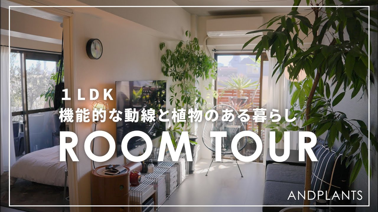 【1LDK】15年モノの植物と暮らす | 見た目も