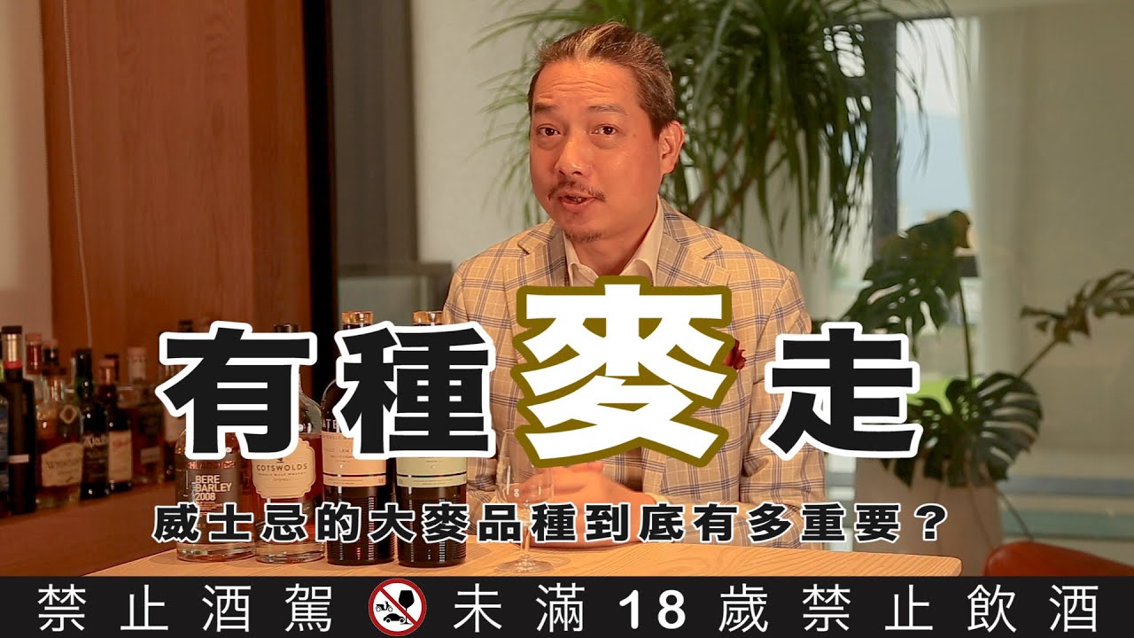 大麥品種重要嗎？威士忌的大麥品種到底有多重要？