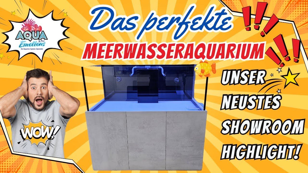Das perfekte Meerwasseraquarium! Unser neuestes Showroom Highlight!