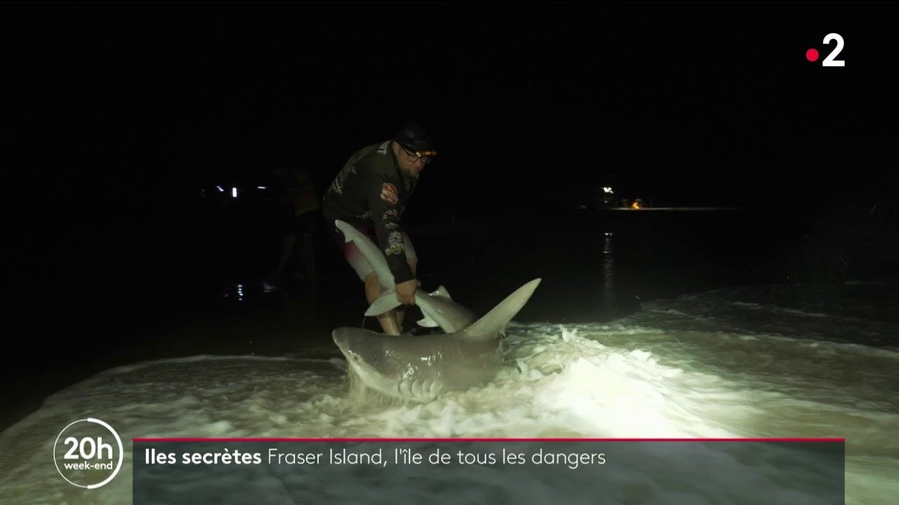 Australie : Fraser Island, l'île de tous les dangers