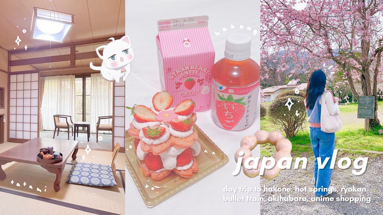 JAPAN VLOG 🍥: visiting hakone, staying at a ryokan, onsen, bullet train, akihabara, anime shopping