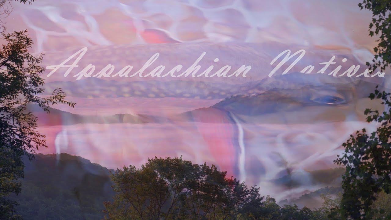 Appalachian Natives | Backcountry Fly Fishing for Smoky Mountain Brook Trout