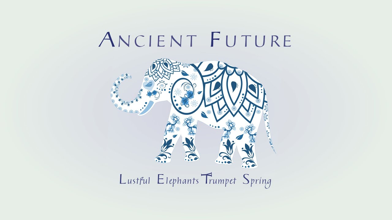 Lustful Elephants Trumpet Spring (Live 6-12-21)