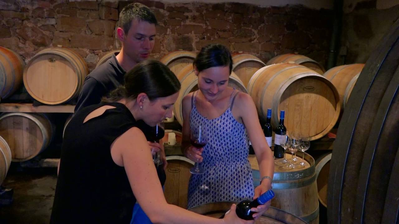 Schunck Weingut und Restaurant Leinsweiler / Pfalz