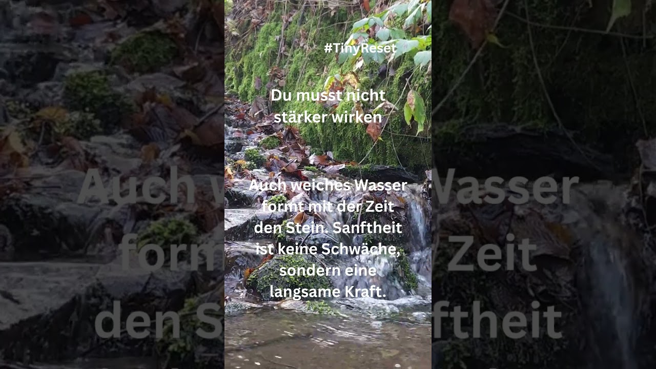tinyreset Bach Reset 09 spruchtafel