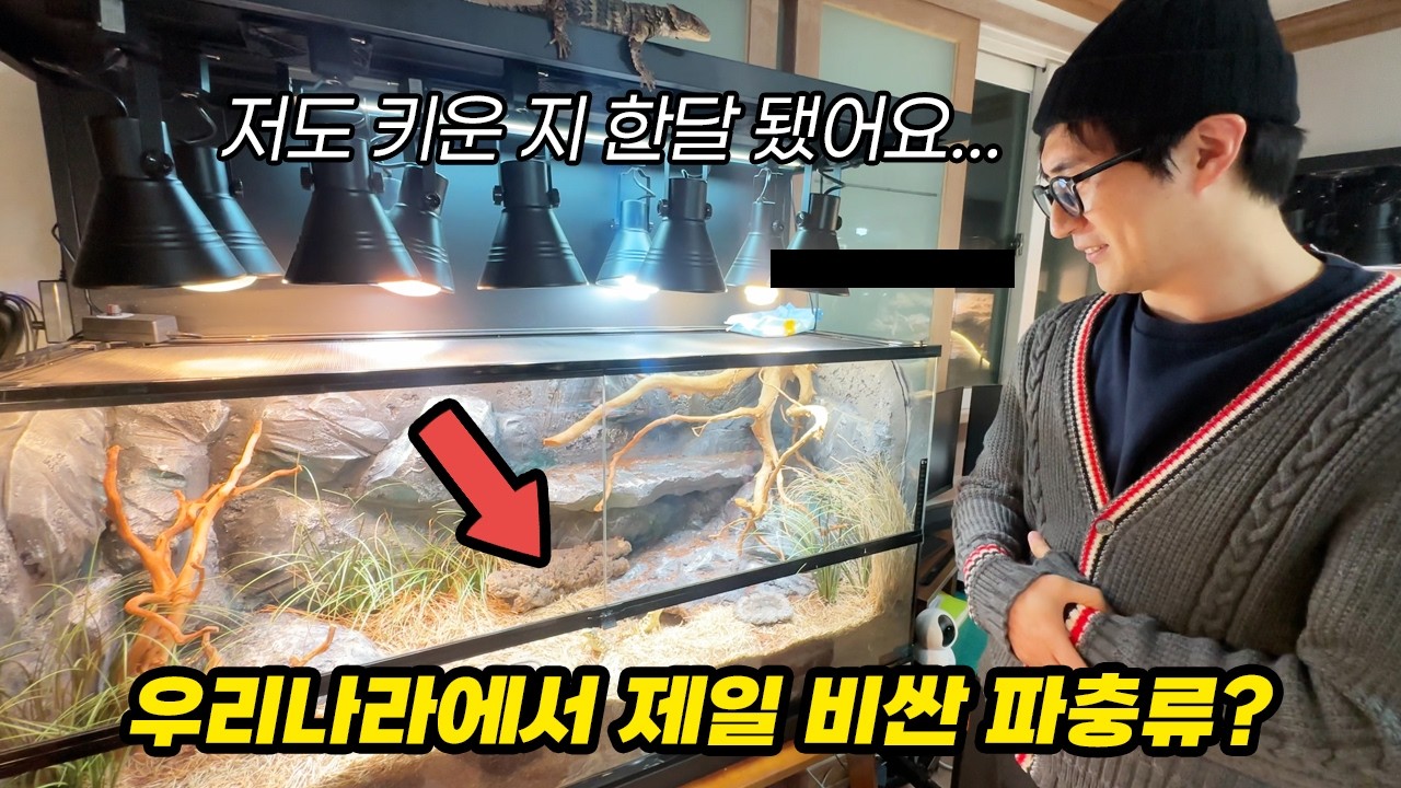 드디어 이녀석을 만났습니다! 역대급 사육방에서 만난 초고가종들ㄷㄷ