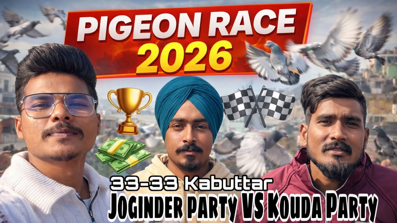 Kabuttarbazi Mukabla 33-33 Kabuttar 29 January 2026 || Kouda Party Vs Joginder Party 