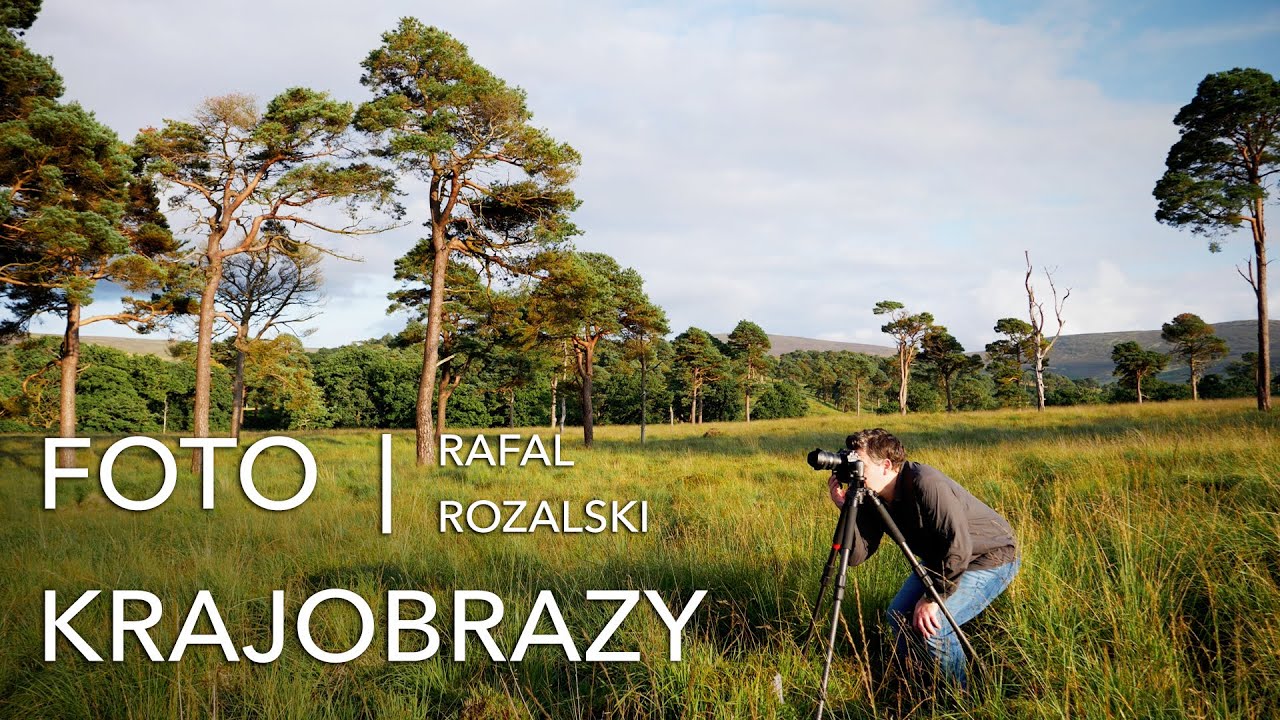 Fotografia krajobrazowa - Letnie FOTOGRAFOWANIE drzew