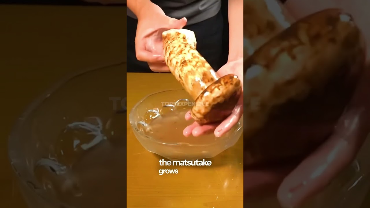 The 5 most expensive mushroom in the world #top5 #expensive #mushroom