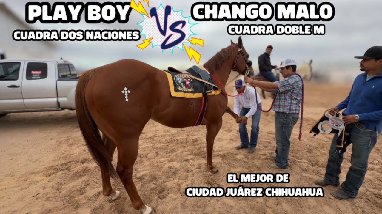EL MEJOR CABALLO DE CIUDAD JUÁREZ 😵
