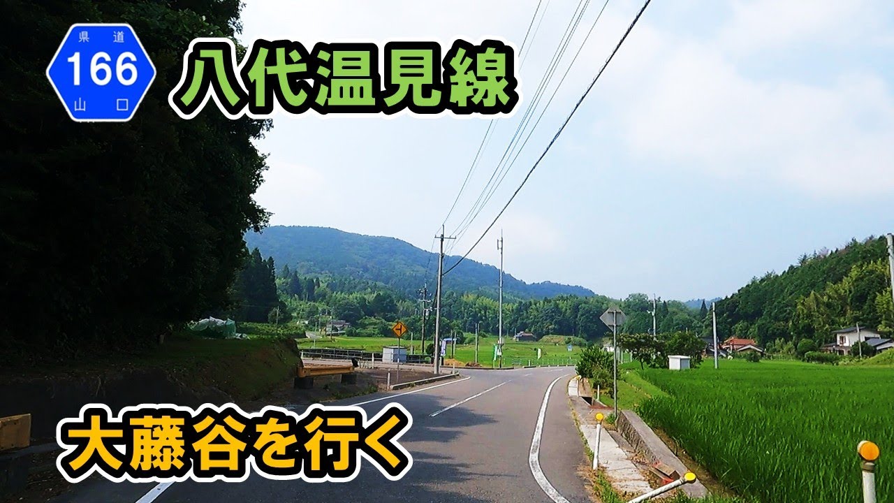 【山口県道166号】八代温見線