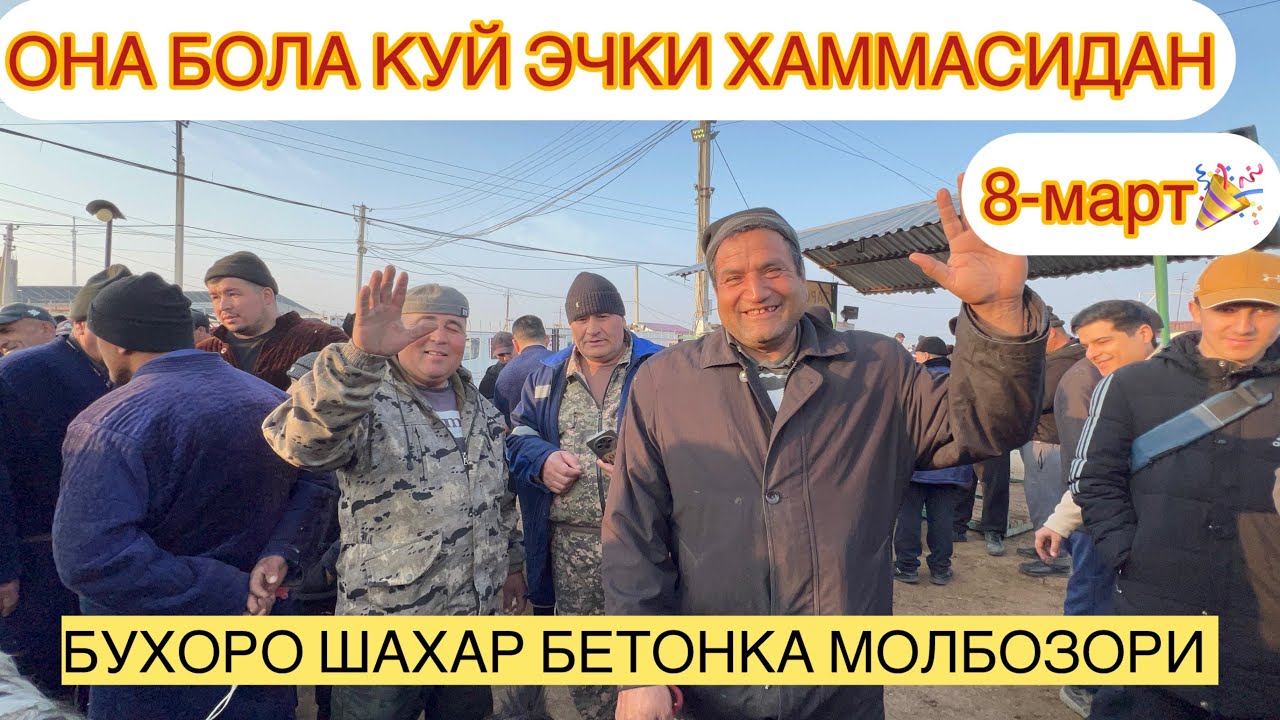 БУХОРО ШАХАР БЕТОНКА МОЛБОЗОРИ КУЙ КУЗИЛАР КАТОРИДАН 08.03.26🎉