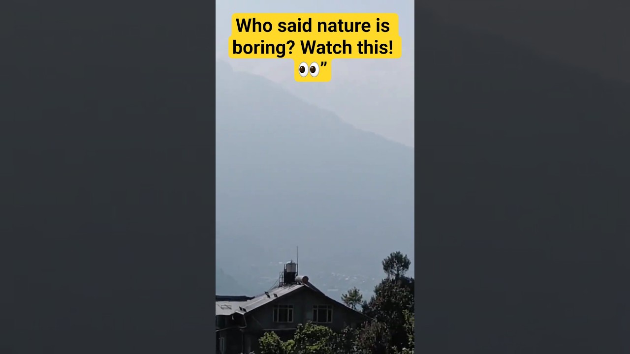 Amazing Nature Moment 