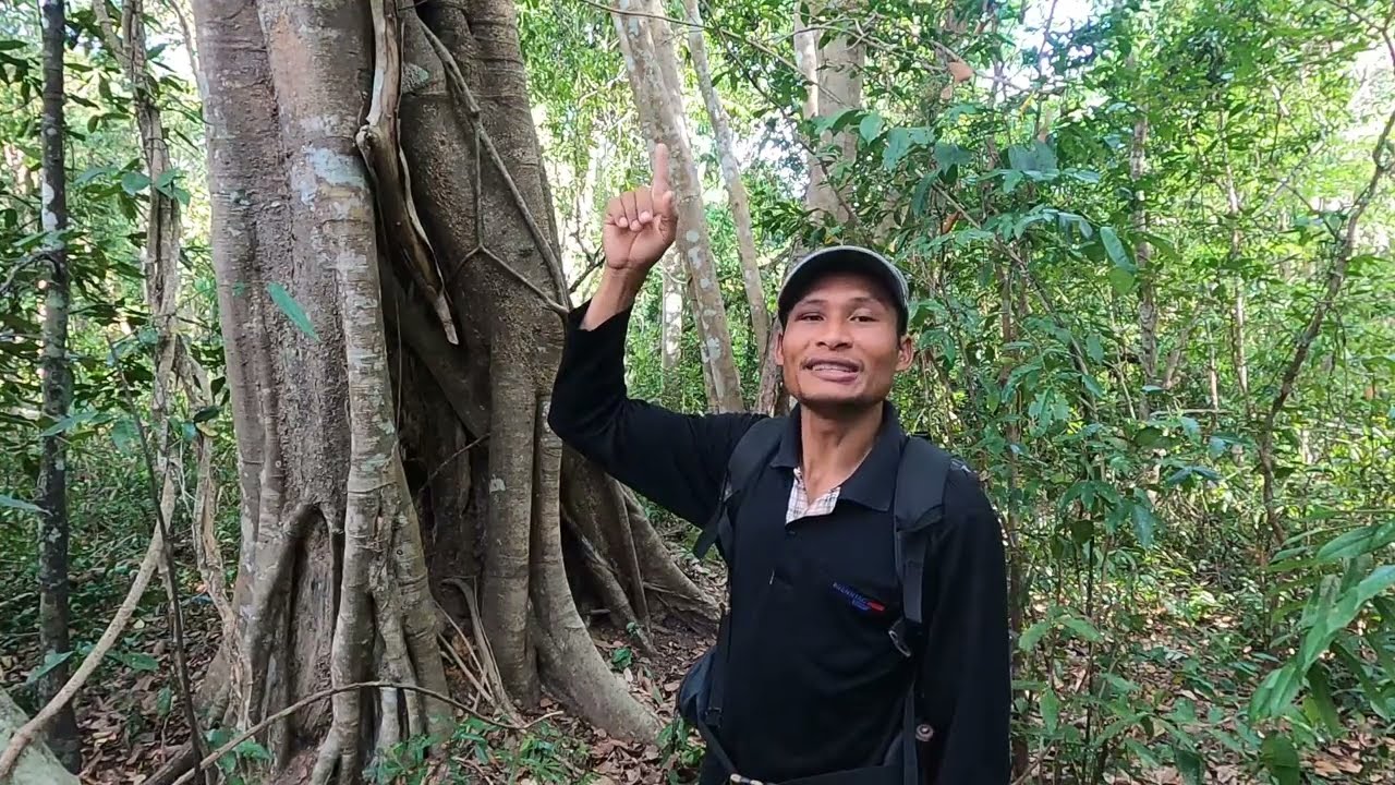 12/03/68 นอนข้างต้นไทรใหญ่กลางป่า