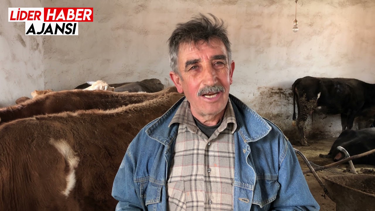 Köyüne Dönen Kimyager Çiftlik Kurdu