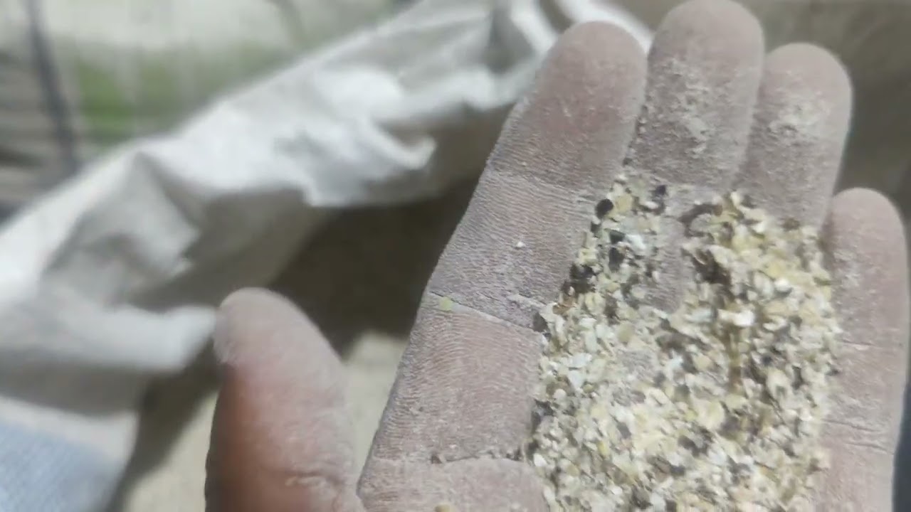 Phapar KO Pitho Original Organic