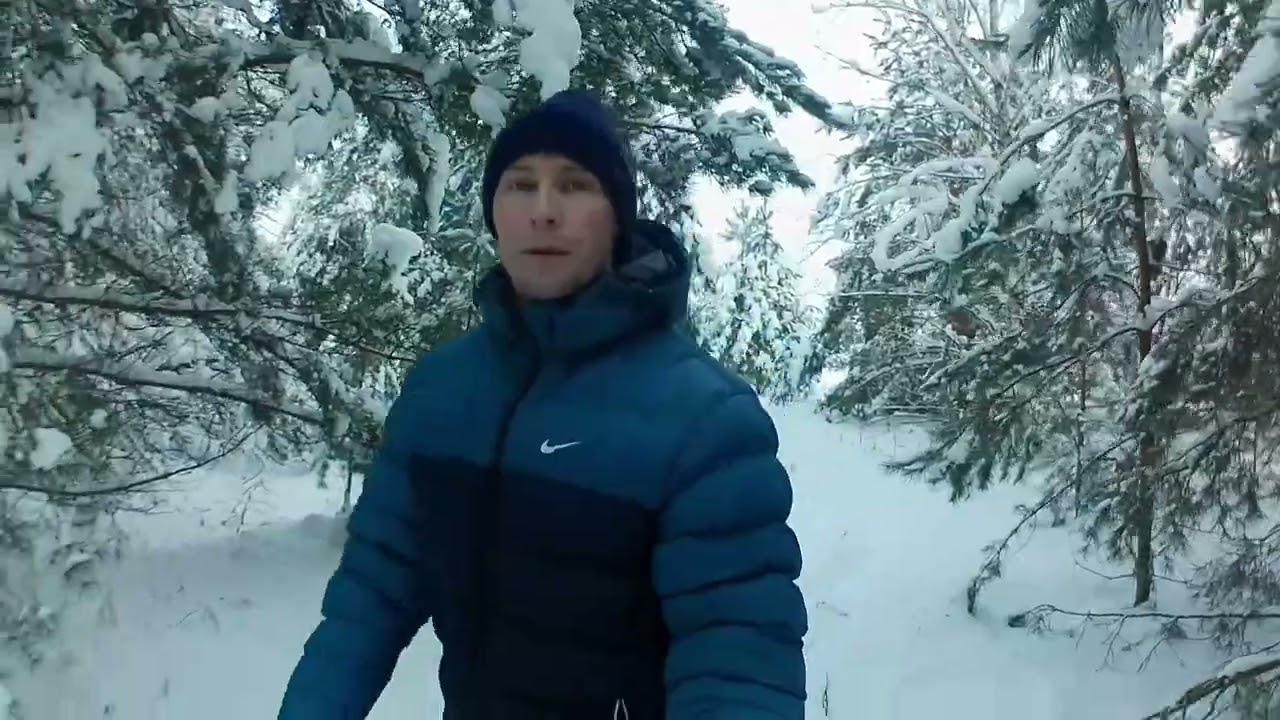 Домашний блог.Прогулка с шариком в лес.