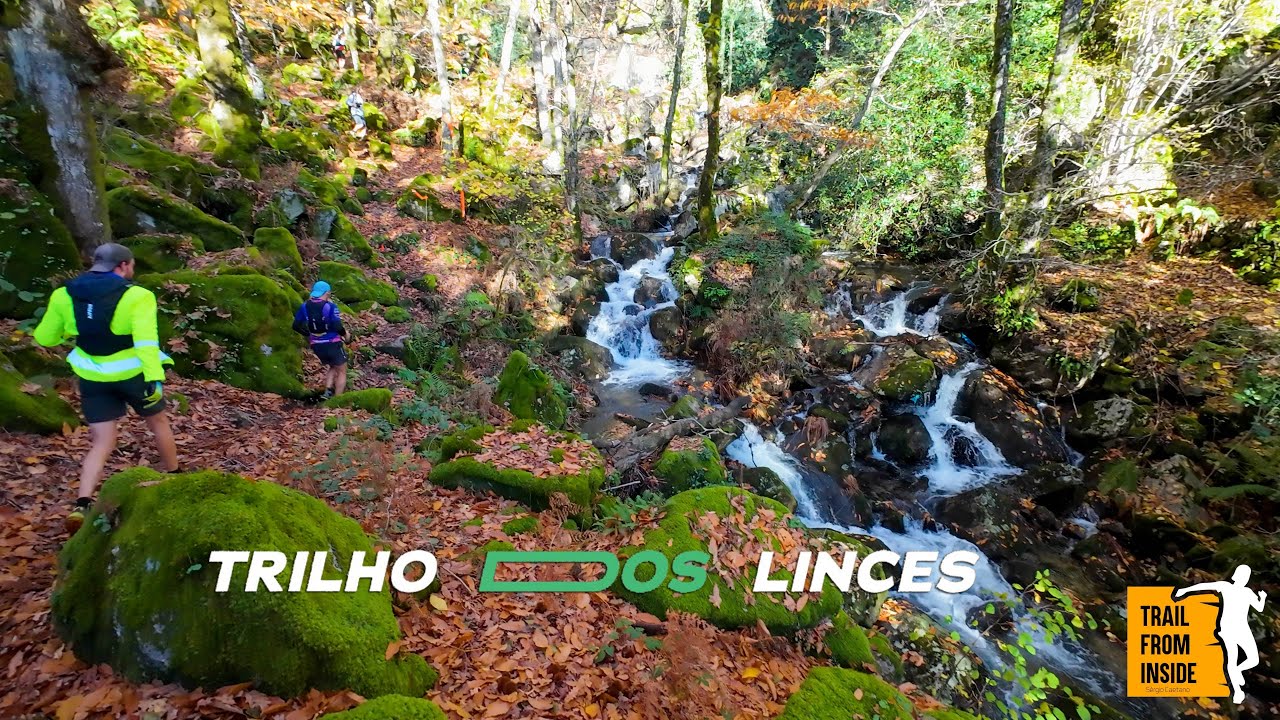 Trilho dos Linces 2025 🐾 | 𝐓𝐫𝐚𝐢𝐥 𝐅𝐫𝐨𝐦 𝐈𝐧𝐬𝐢𝐝𝐞 🎥🔴