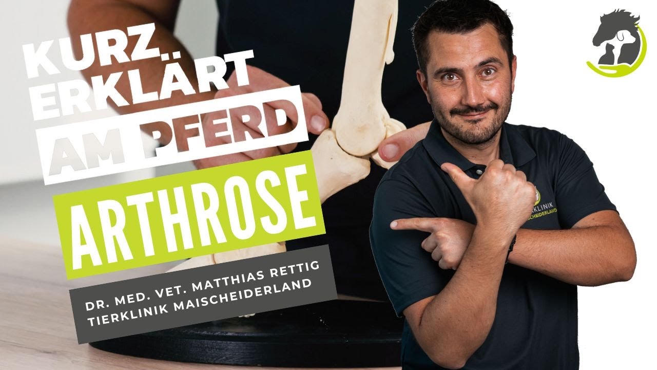 ARTHROSE - Diagnose und Behandlung! Kurz erklärt am Pferd!