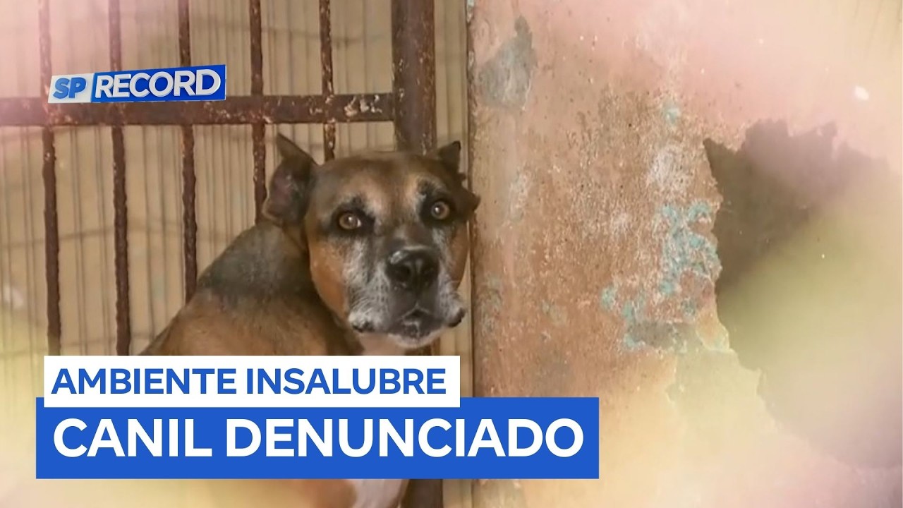 Denúncias apontam problemas estruturais em Canil de Jaboticabal (SP)