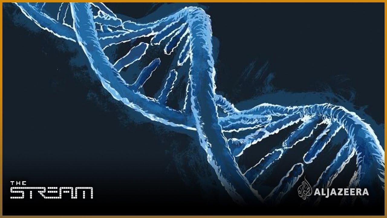 The Stream - Science and security of DNA testing