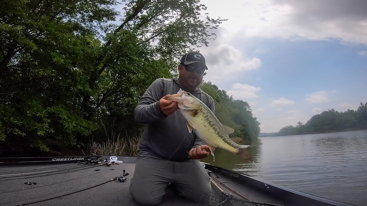 Cox Catches on Chickamauga