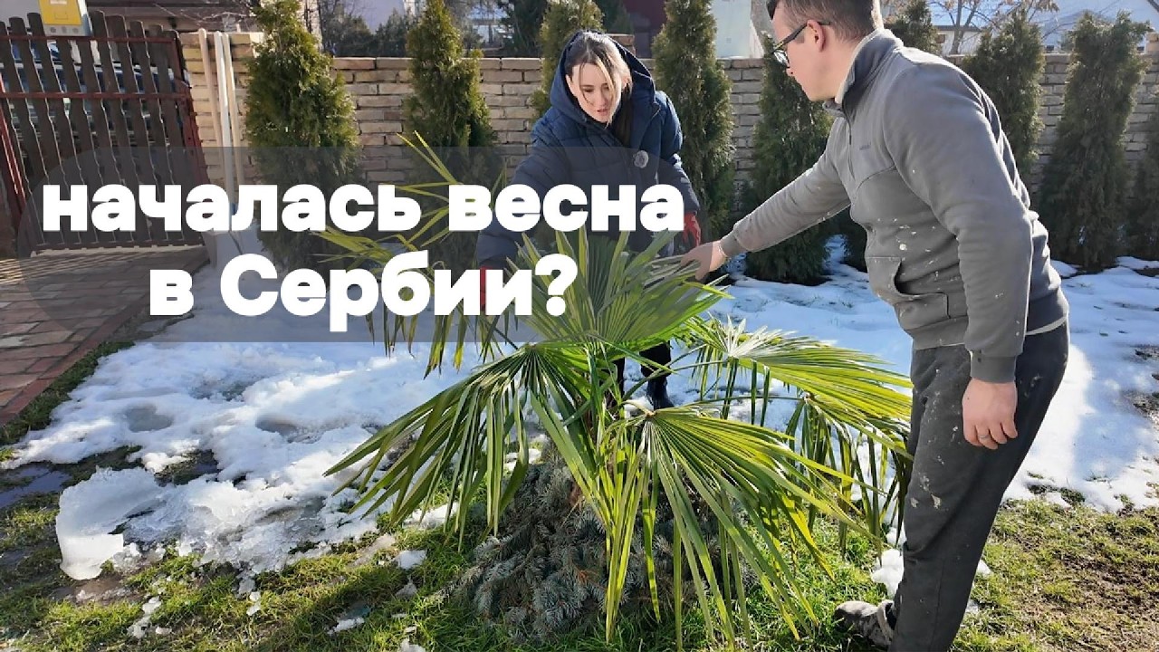 Утепляем потолок в цоколе | Ремонт дома в Сербии