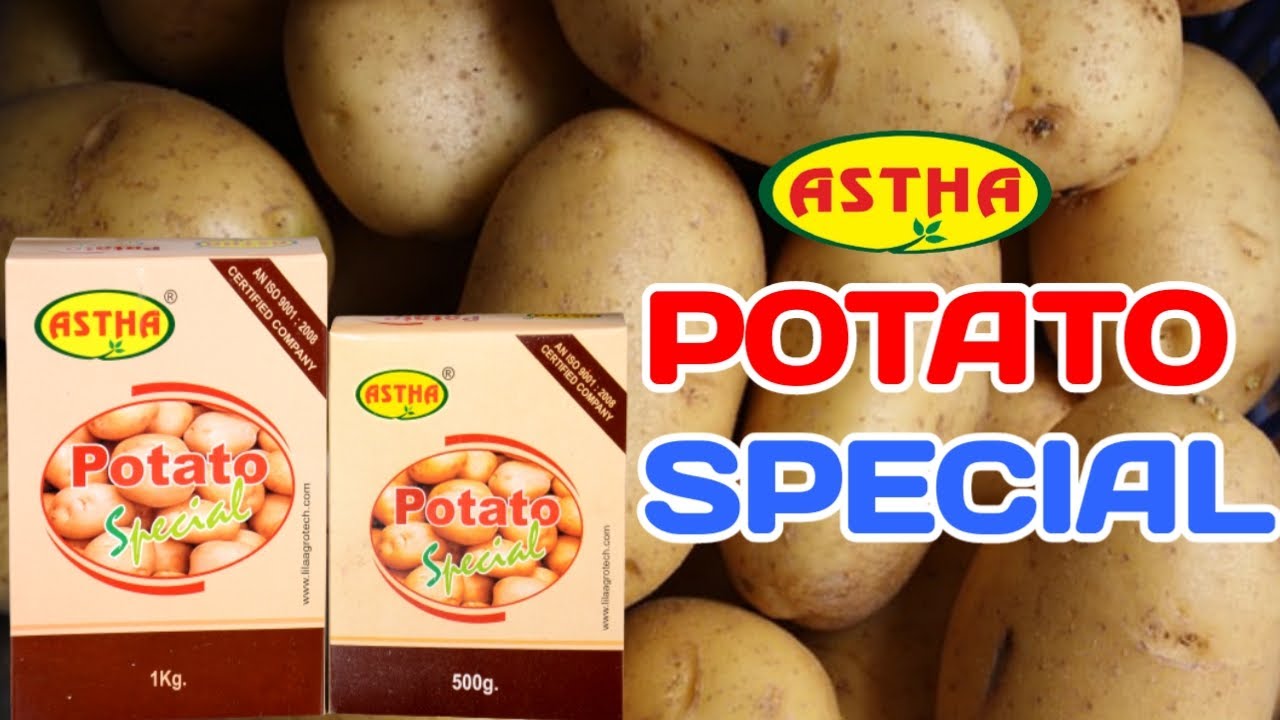 Astha Potato Special. // আলুর উৎপাদন অধিক করতে ব্যবহার করুন আস্থা পটেটো স্পেশাল। #lilaagrotech .