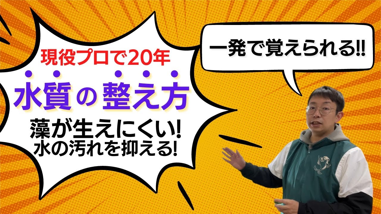 【2023年最新】水槽に藻(コケ)が生える＆水が汚れる"2つ"の理由