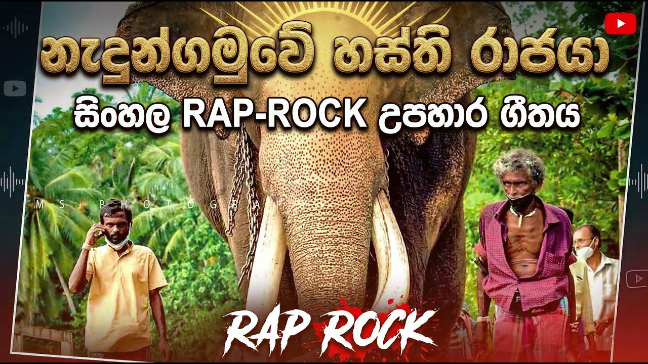 🔥 නැදුන්ගමුවේ හස්ති රාජයා (Nadungamuwe Raja) - RAP ROCK UPĀHARA 🐘 | උපහාර ගීතය!