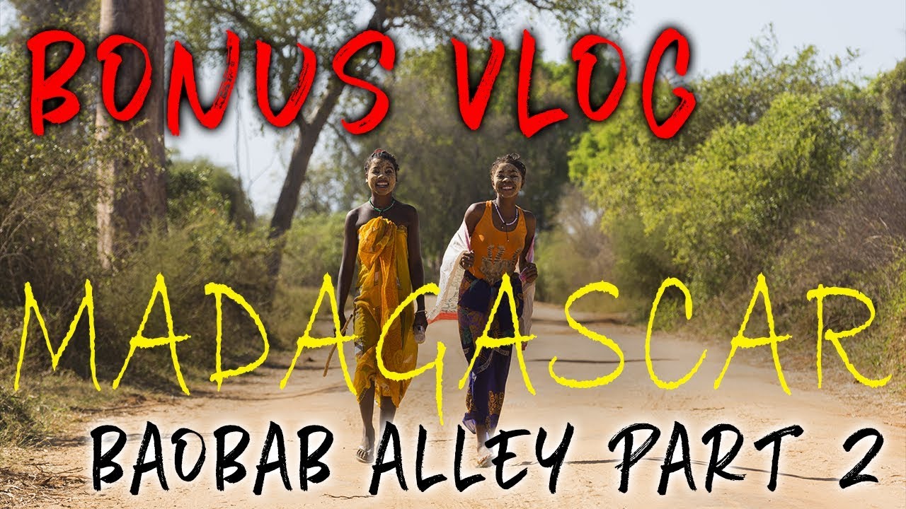 Bonus Vlog MADAGASCAR Wildlife & Baobab Alley Part 2