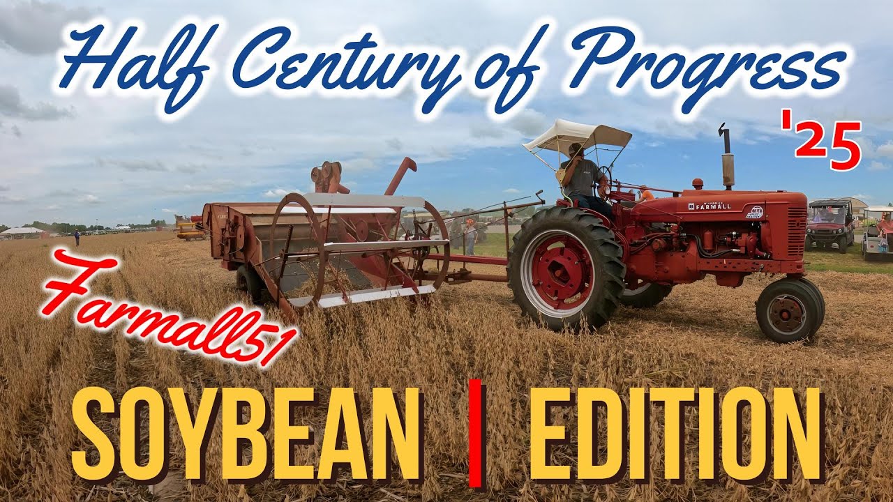 Combining Beans at Half Century of Progress #farmall51 #soybean #halfcenturyofprogress #combine