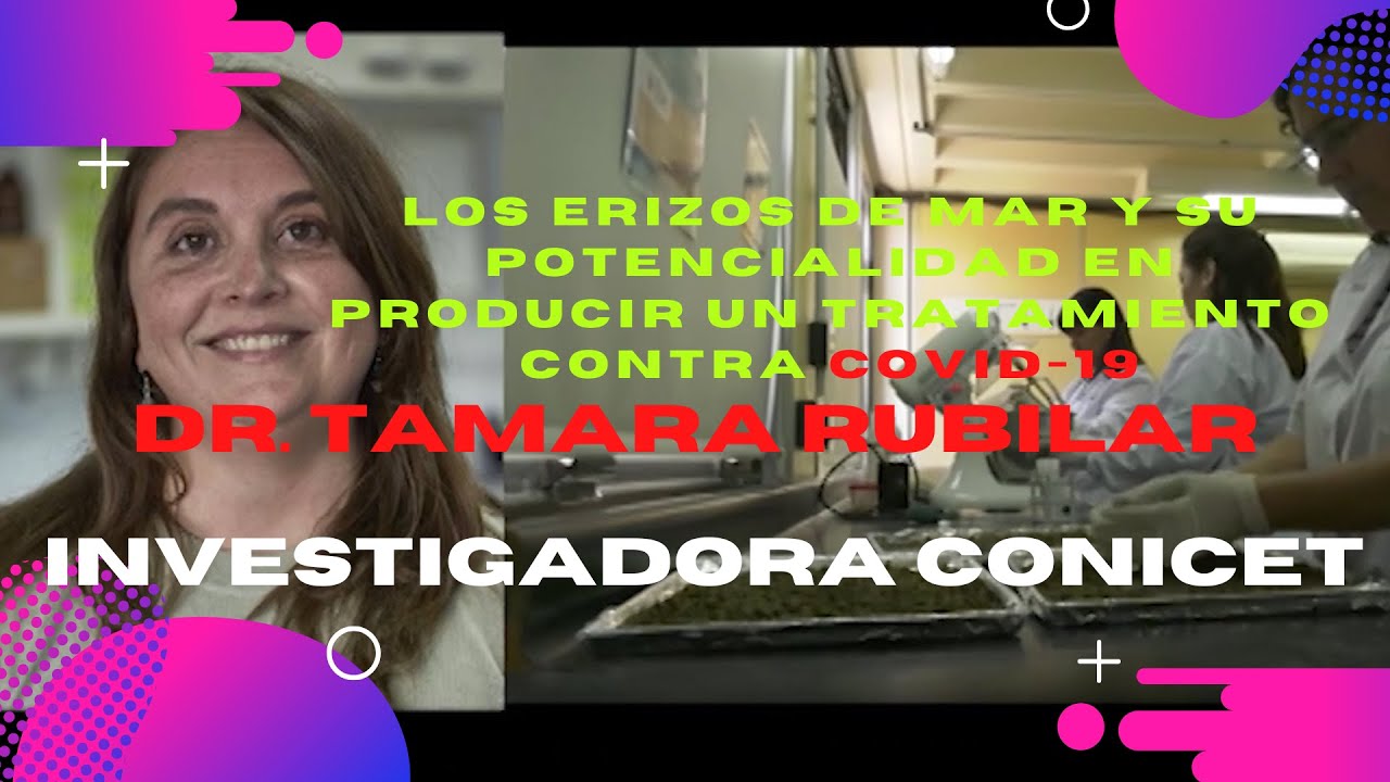 ULTIMO MOMENTO CONICET Erizos de mar, tratamiento contra COVID-19 | Tamara Rubilar con César Moreno