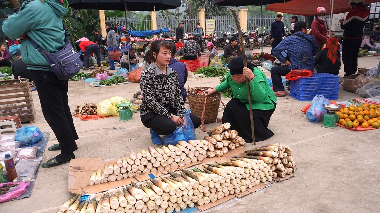 A Busy Day in the Forest: Single Mom and a Kind Old Woman Gather Bamboo Shoots to Sell at Market