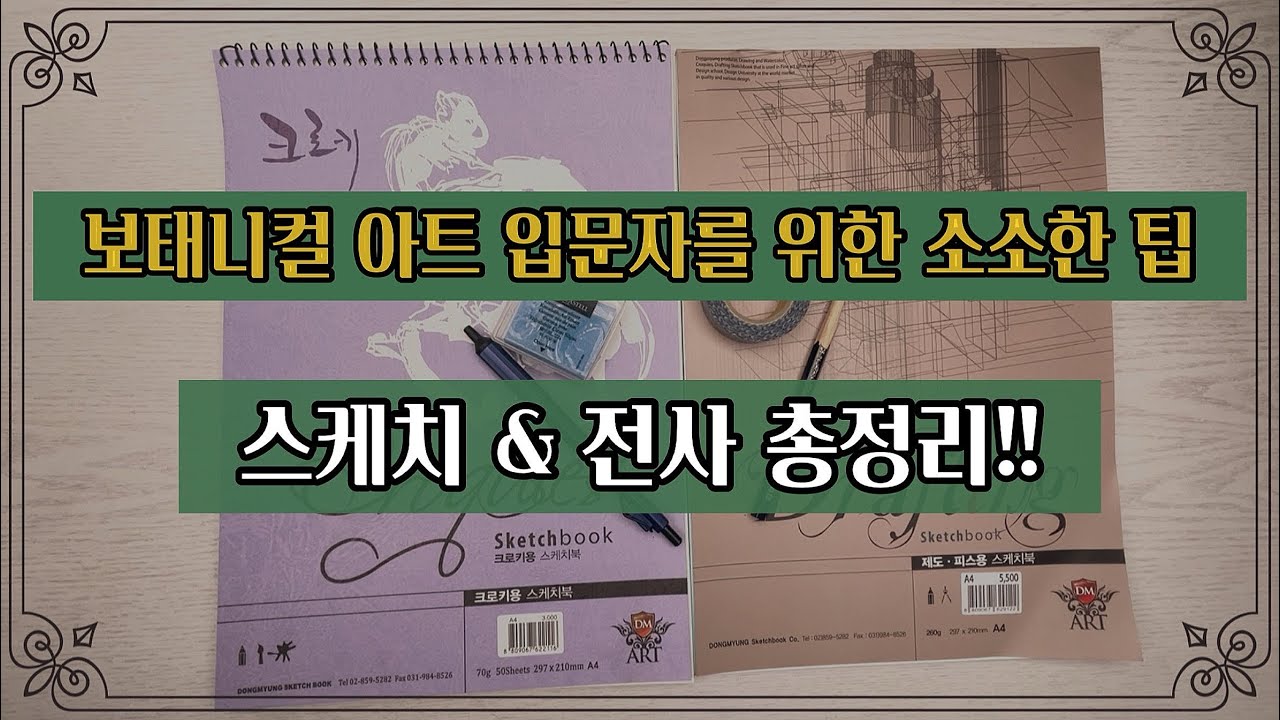 보태니컬 아트 기초/스케치와 전사 총정리 😆/보태니컬 아트 입문자를 위한 소소한 팁