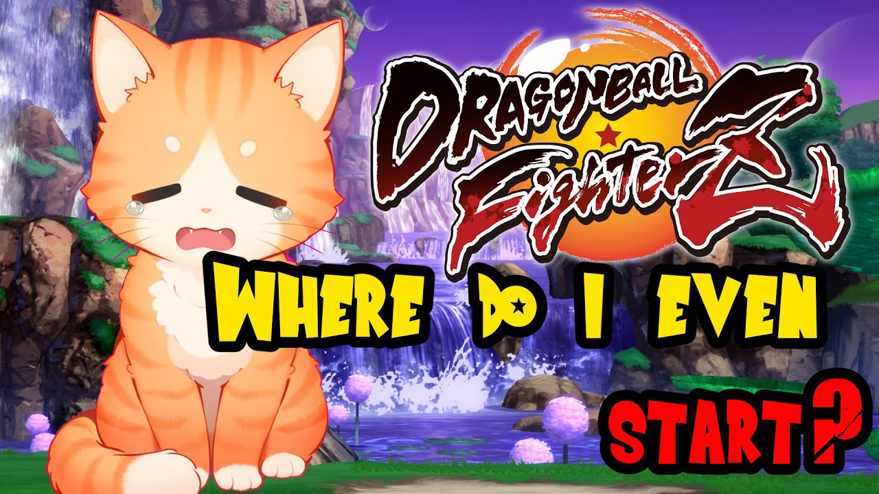 Complete Beginner Guide DBFZ