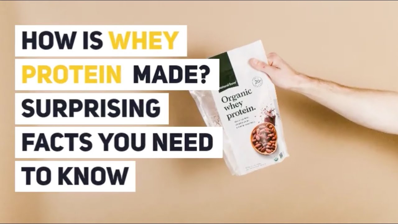 How is Whey Protein Made? Surprising Facts You Need to Know