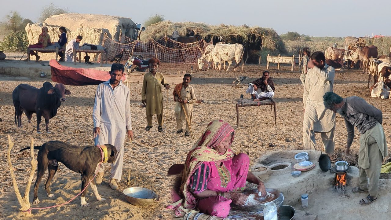 Very simple people living in desert | Evening routine in village | Simple cooking food in desert