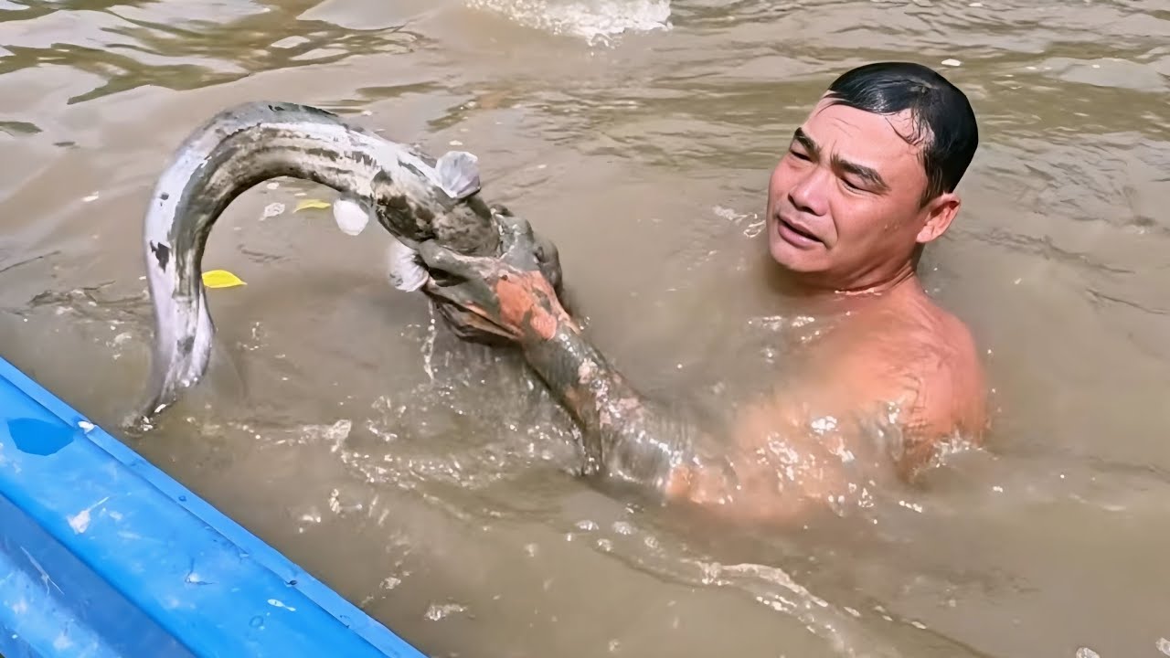 Cá Ngát Nấu Lá Me Rai Rai Cùng Anh Em || Giang Ca SB # 113
