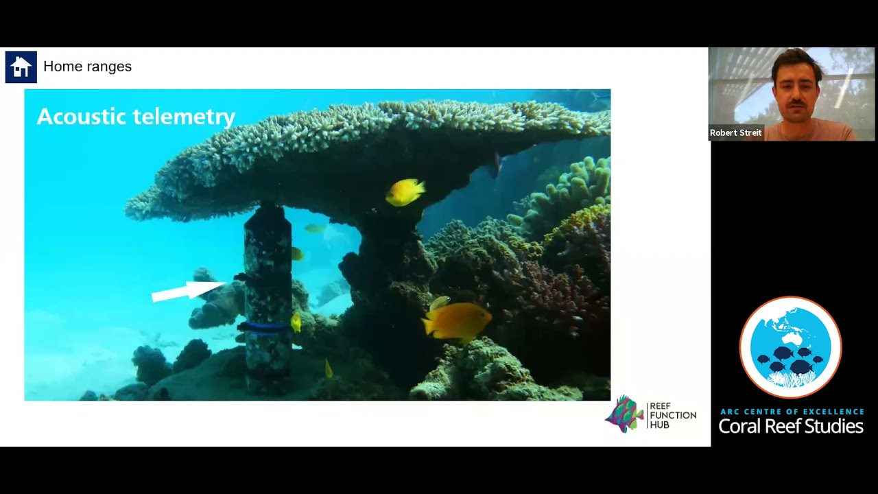 Space use by reef fishes &ndash; more than the science of &ldquo;where&rdquo; by Robert Streit