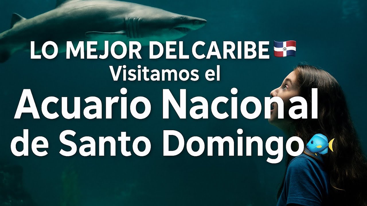 Lo mejor del Caribe: Visitamos el Acuario Nacional de Santo Domingo 🐠🇩🇴