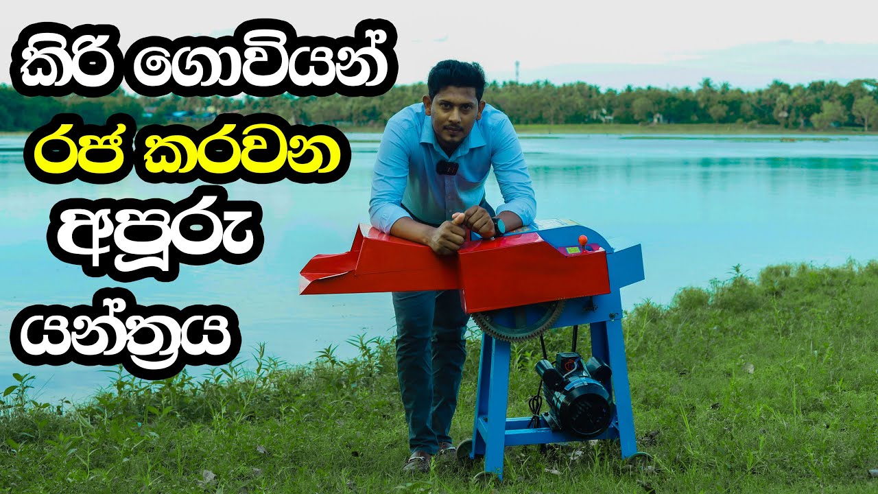 කිරි ගොවියන් සතුවිය යුතුම ශාක පෝෂණ කොටස් කැපීමේ යන්ත්‍රය Chaff cutting grass cutter in Sri Lanka
