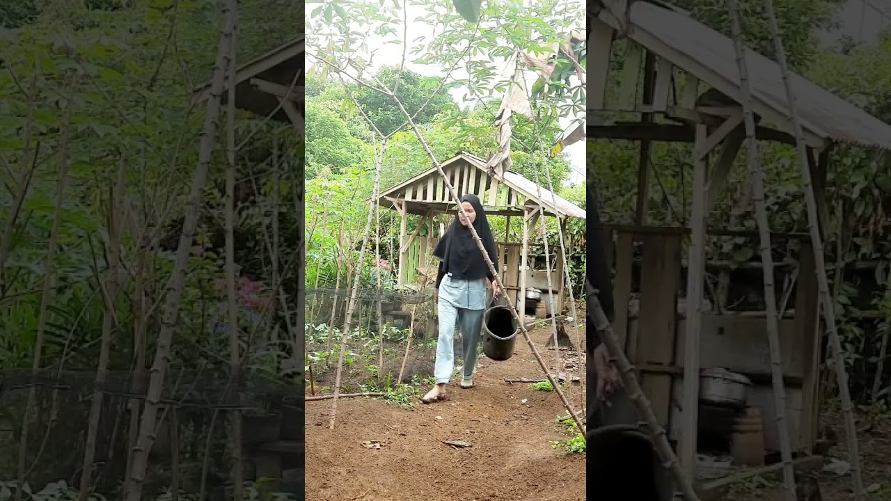 #viral #video #orangdesa #reels #rural