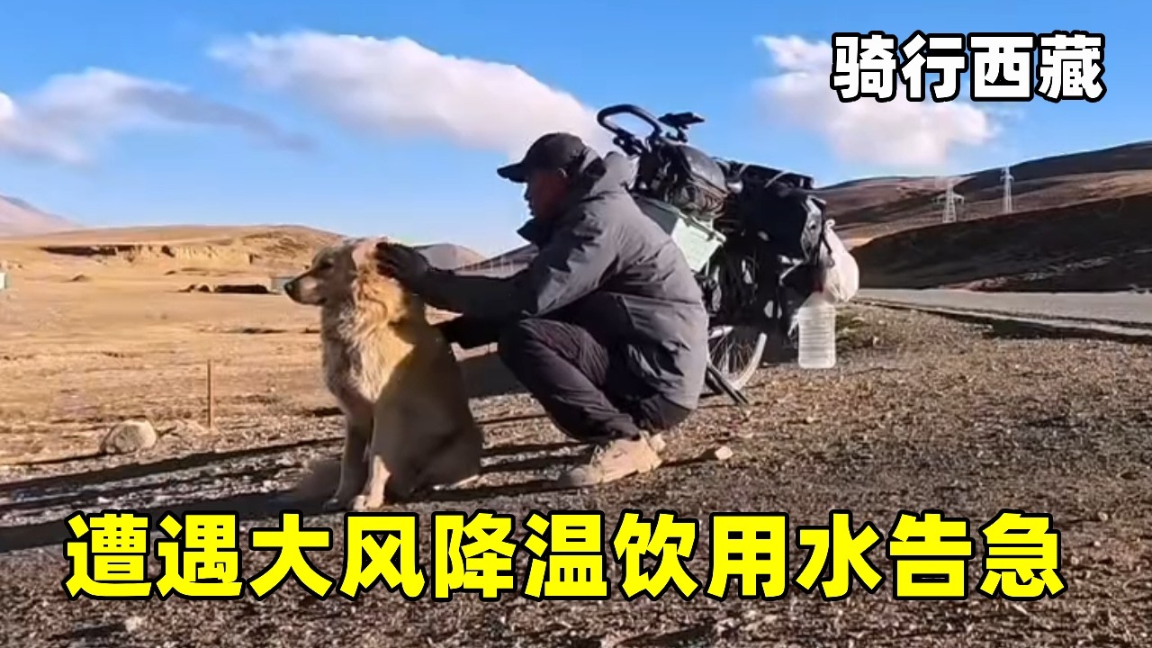 【合集】穿越无人区：中途遭遇大风降温水也漏光了，途中连个村子也没有，躲在铁皮房过夜【张大飞的旅行】