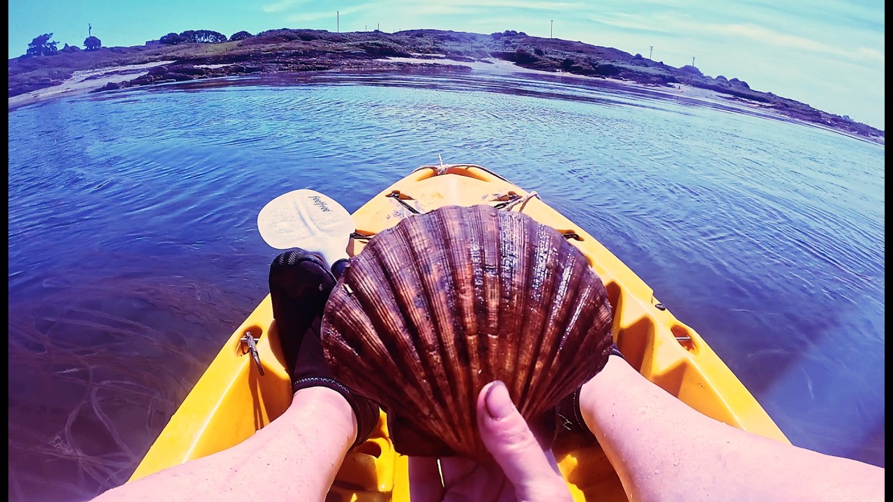Coastal Foraging for Oysters, Scallops, Clams, Cockles on Secret Islands