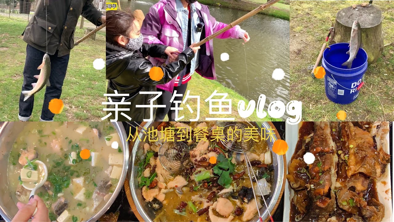 钓鱼vlog｜温哥华周边游好去处，鳟鱼见钩就咬，1小时钓了19条，直接做成酸菜鱼、红烧鱼、豆腐鱼汤端上餐桌｜加拿大生活记录